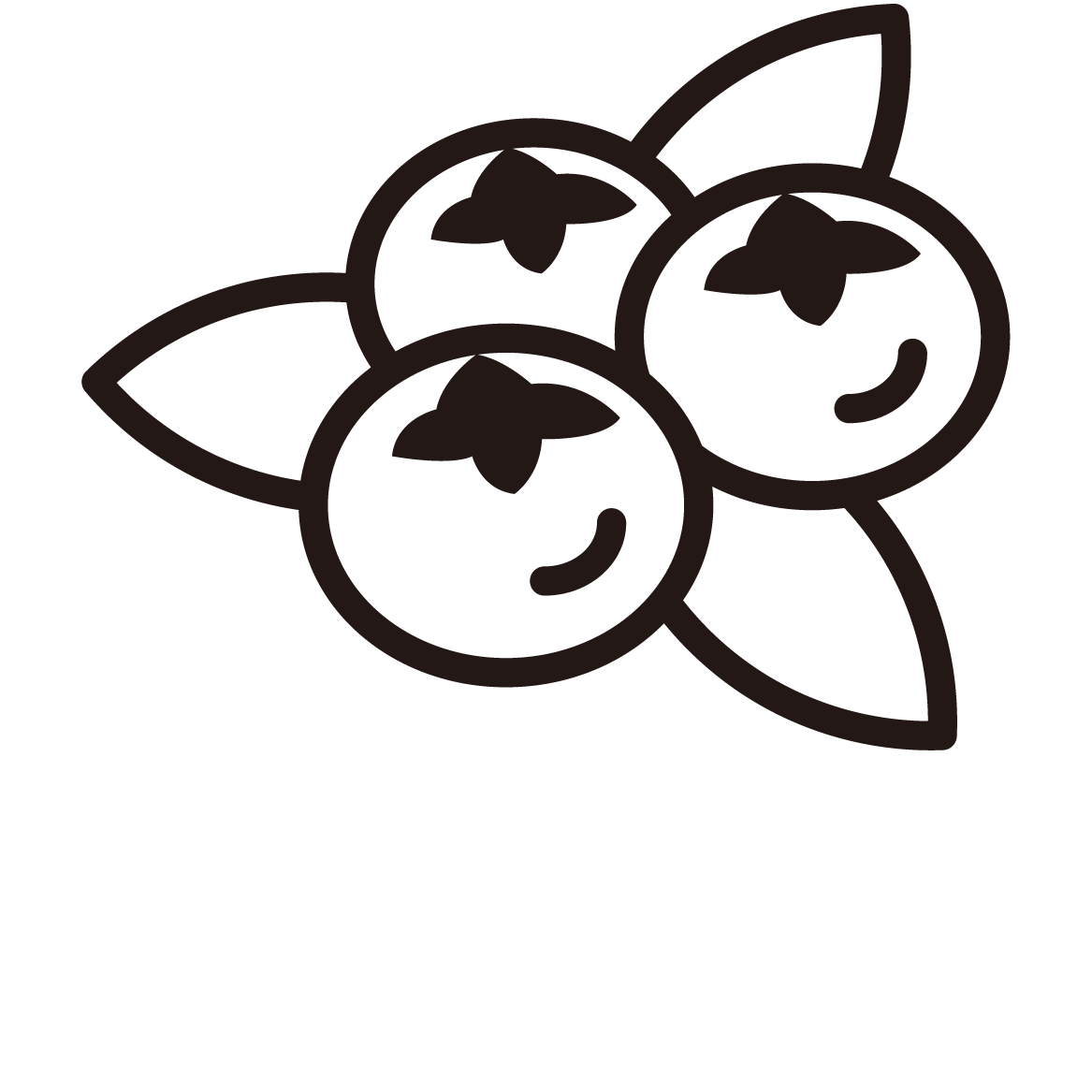 ブルーベリーのアイコン